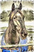 Das Pferd