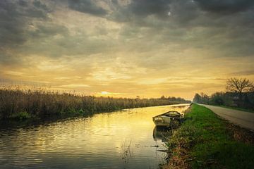 Polderlandschap "Roeiboot, Riet en Rust" van Coen Weesjes