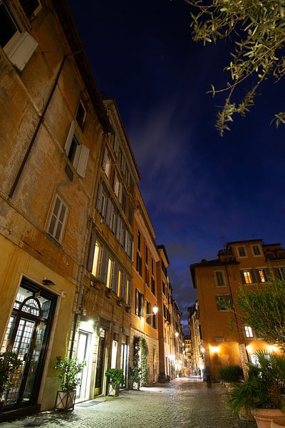 Via dei Coronari - Rom von Salke Hartung