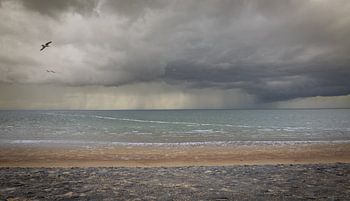 Sturm an der Küste