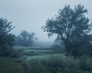 Herbstnebel