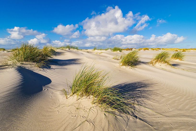 Landschaft in den Dünen auf der Insel Amrum van Rico Ködder