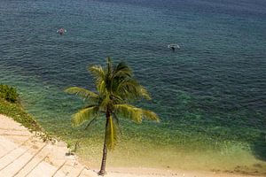 Tropischer Strand mit Palmen und Fischerbooten in Anda, Bohol