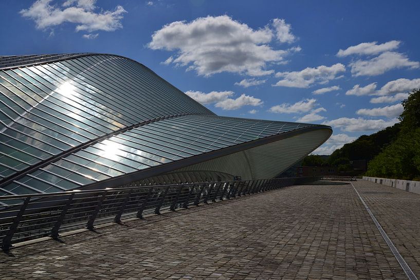 Station Luik von Arjan van Roon