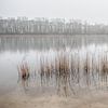 Nebliger See von Mark Bolijn