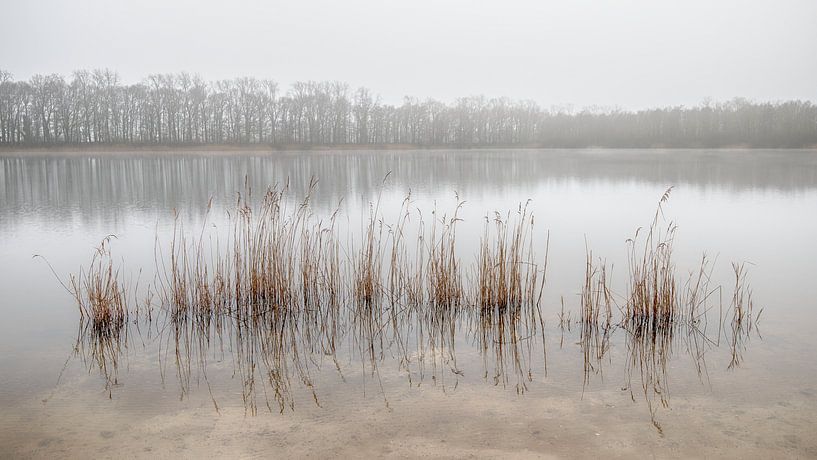 Mistig meer van Mark Bolijn