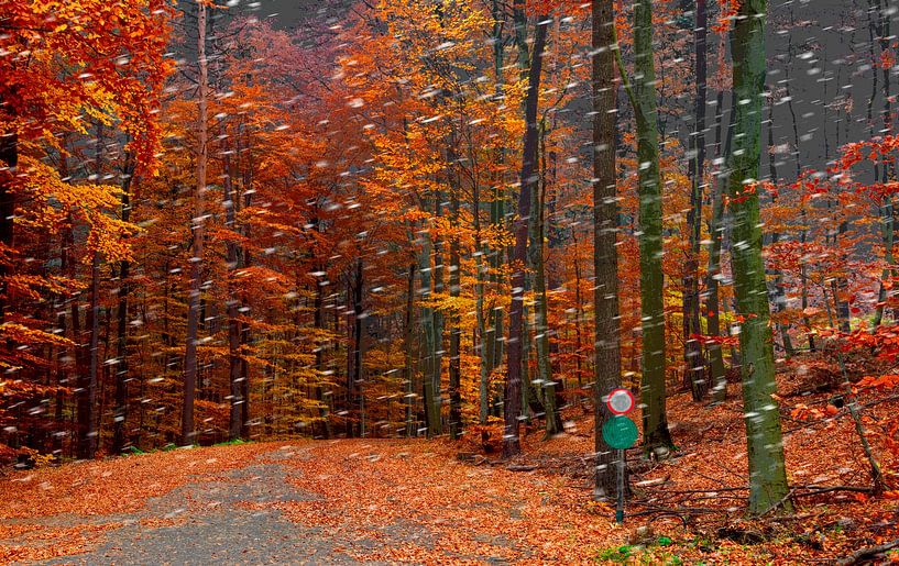 First snow by Leopold Brix