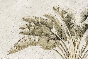 Palmen. Tropische botanische prent. Graphic. 1