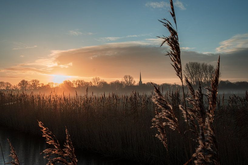 oudorperhout alkmaar by PeterDoede