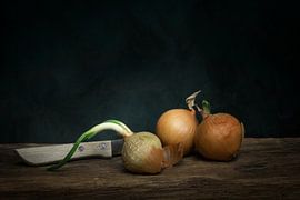 union still life, inspired withe the works from the golden age by Joske Kempink