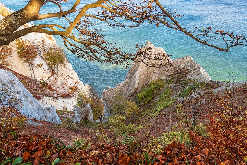 Ostseeküste auf der Insel Mön in Dänemark von Rico Ködder