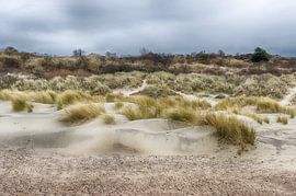 Les dunes de Zélande sur Mark Bolijn