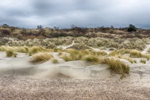 Dünen von Zeeland