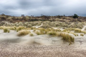 Les dunes de Zélande sur Mark Bolijn