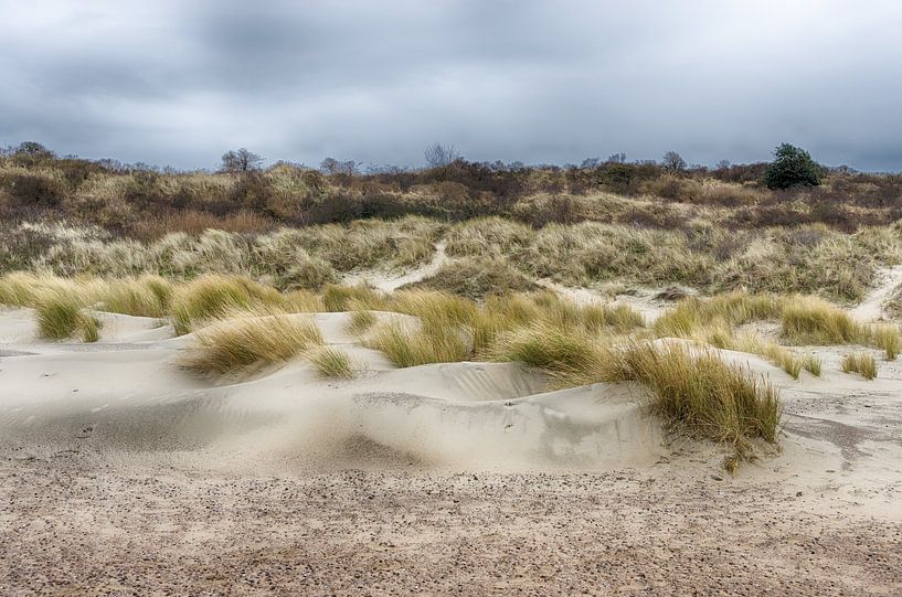 Dünen von Zeeland von Mark Bolijn