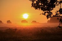 Golden hour heath