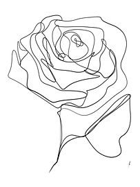 Rose one-line drawing digital work
