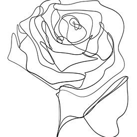 Roos one-line drawing digitaal werk van Ankie Kooi