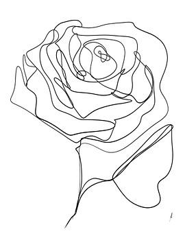 Rose one-line drawing digital work by Ankie Kooi