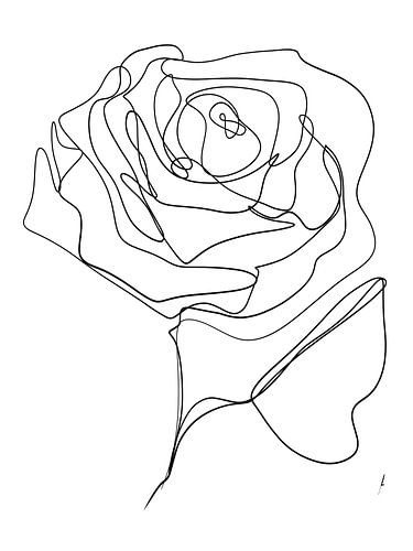 Roos one-line drawing digitaal werk