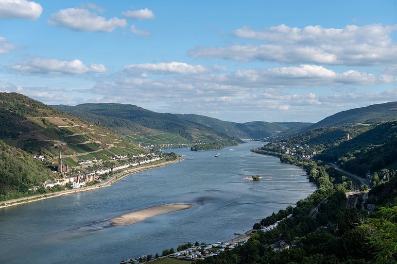 Ansicht Bacharach von Richard Wareham