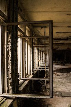 Empty windows by Diana Kors