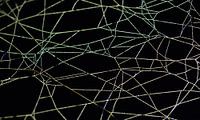 Spinnenweb kunst van Danny Slijfer Natuurfotografie thumbnail