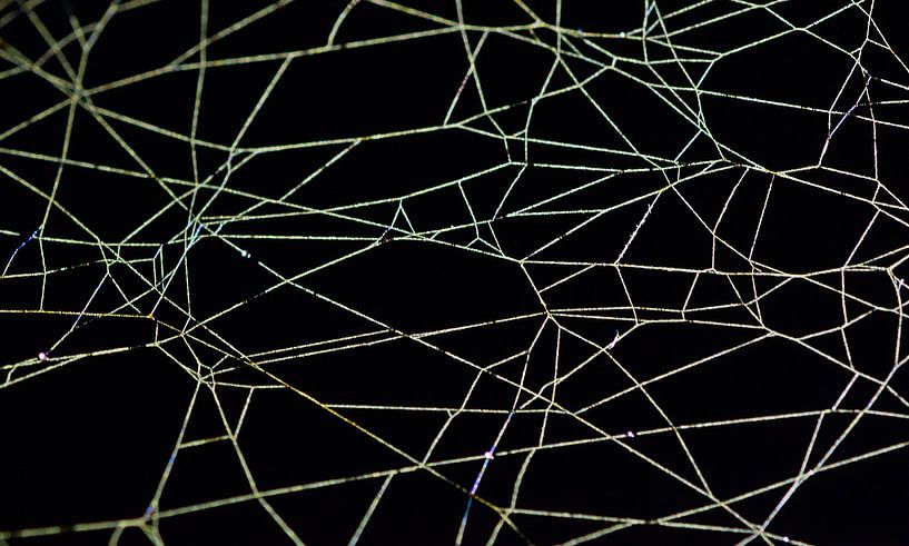 Spinnenweb kunst van Danny Slijfer Natuurfotografie