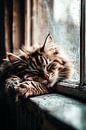 Cat sleeps on windowsill by Art & Soul Creations thumbnail