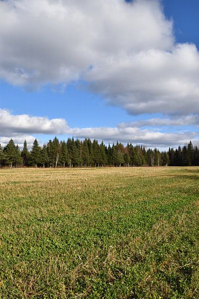 A field after the autumn harvest by Claude Laprise