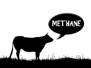 Methaan koe van Grüntyers .