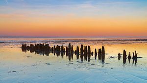 Poteaux en bois (brise-lames) dans la mer des Wadden à Wieringen au coucher du soleil
