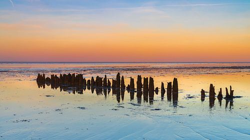 Houten paaltjes (golfbrekers) in de Waddenzee op Wieringen tijdens zonsondergang