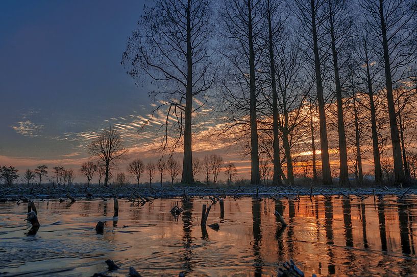 Ijskoud in Utrecht van Verliefd op Utrecht