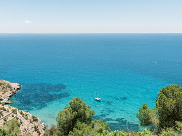 Ibiza - Een paradijs met de prachtige blauwe zee van Youri Claessens