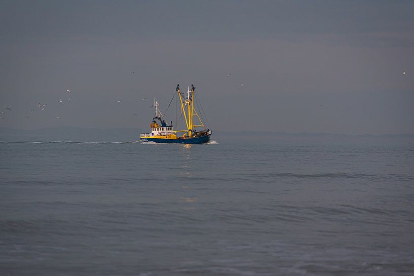 Le bateau de l'homme-poisson par Angelique van Waarde