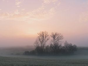 Novembermorgen 2 von Max Schiefele