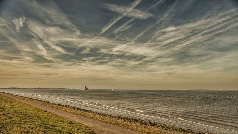 westerschelde van anne droogsma
