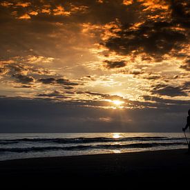 Morning walk van Herbert Seiffert