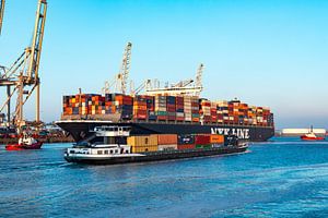 Lastkahn passiert Frachtcontainerschiffe auf dem Containerterminal im Hafen von Rotterdam