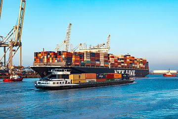 Lastkahn passiert Frachtcontainerschiffe auf dem Containerterminal im Hafen von Rotterdam von Sjoerd van der Wal
