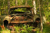 Old car  in the forest
