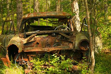 Oude auto in het bos van Kvinne Fotografie