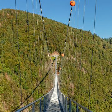 Suspension bridge over the gorge by Markus Lange