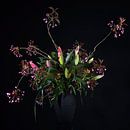 Blumenstrauß von Wim Frank Miniaturansicht