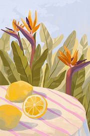 Citrons du paradis sur Goed Blauw