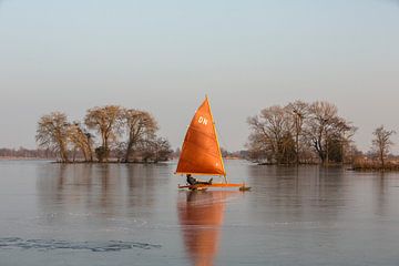 Voile de glace, Elfhoeven Reeuwijk