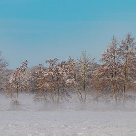 Winter, snow in Beetsterzwaag Opsterland Friesland by Ad Huijben
