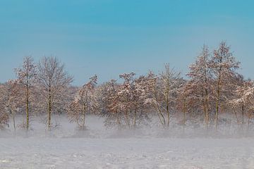 Winter, snow in Beetsterzwaag Opsterland Friesland by Ad Huijben