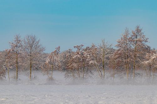 Winter, sneeuw in Beetsterzwaag Opsterland Friesland van Ad Huijben